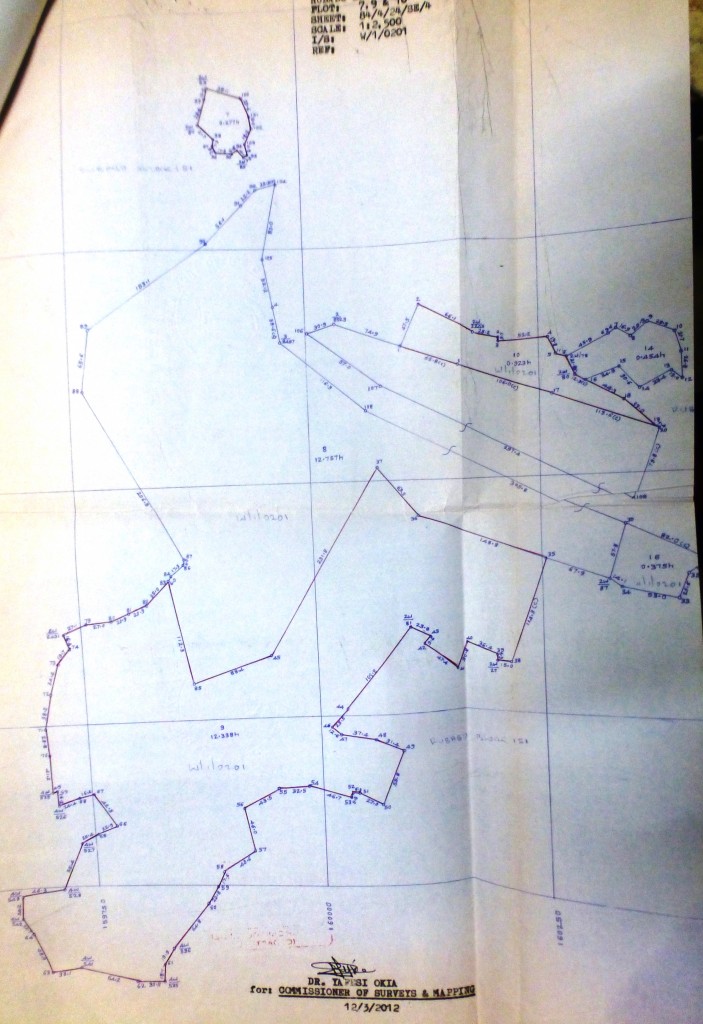 site plan